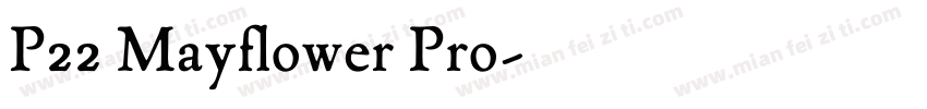 P22 Mayflower Pro字体转换